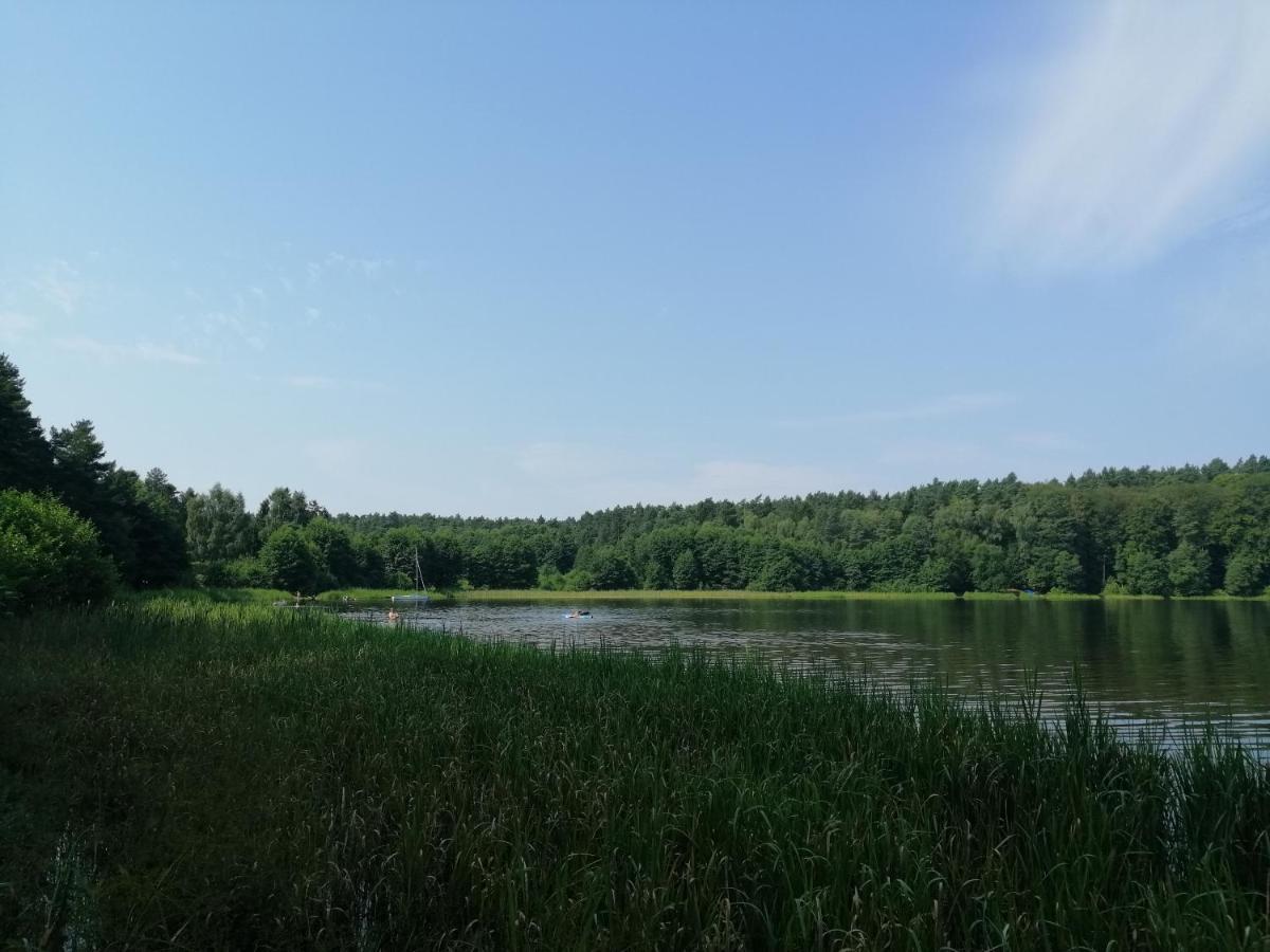 Villa Holma *** Agroturystyka Zbychowo Luaran gambar